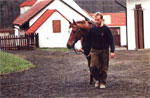 V Dostihovém centru v Zámrsku se mají koně hodně dobře. Trenér František Horák vede Dobromysla (jaro 1997)